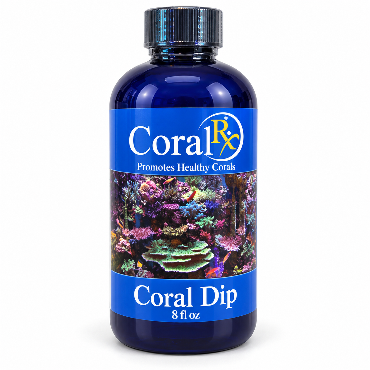 Coral Rx Coral Dip | 8 fl oz