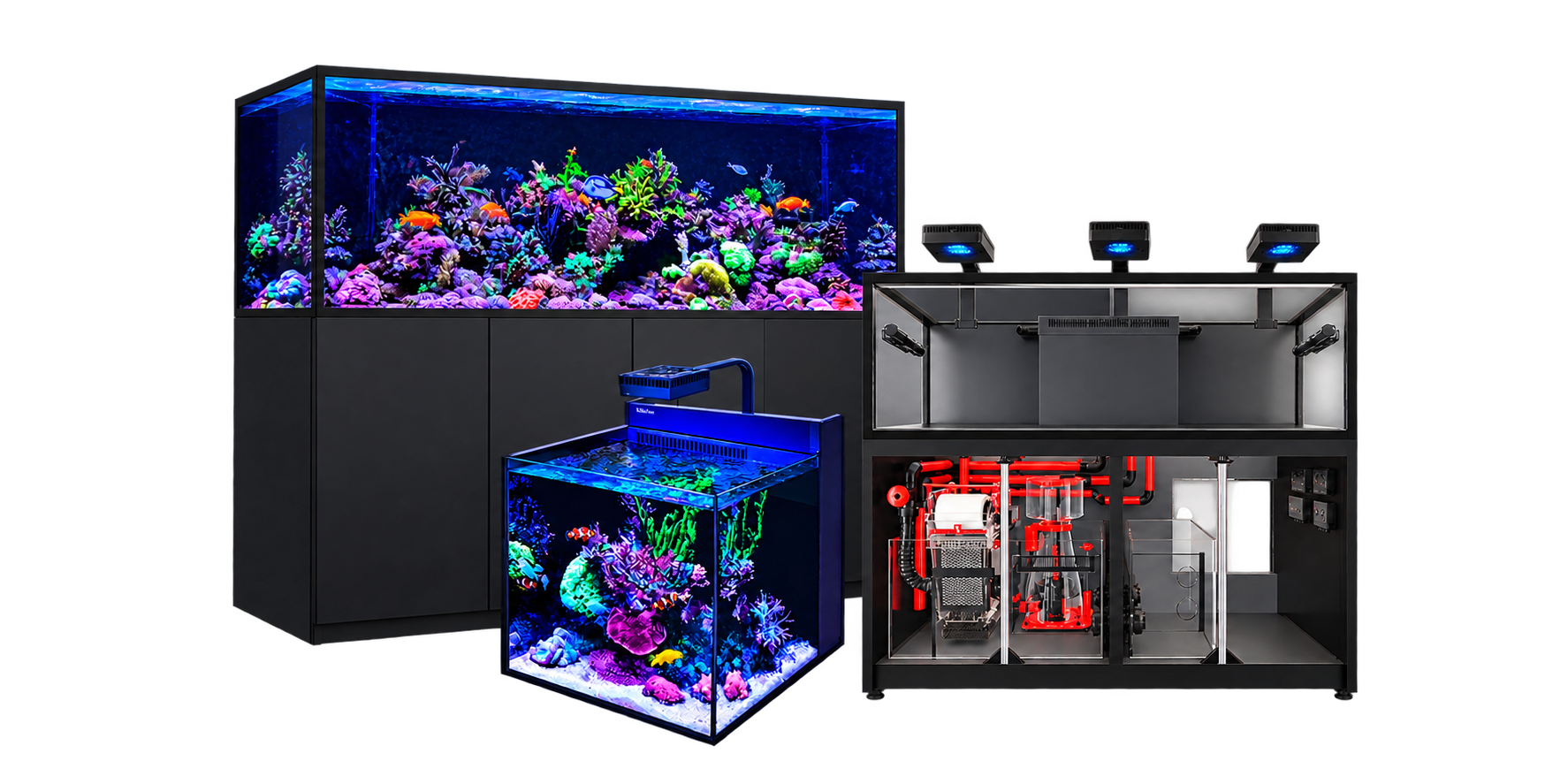 Saltwater Aquariums & Reef Tanks | Seven Seas Aquatics – Page 2