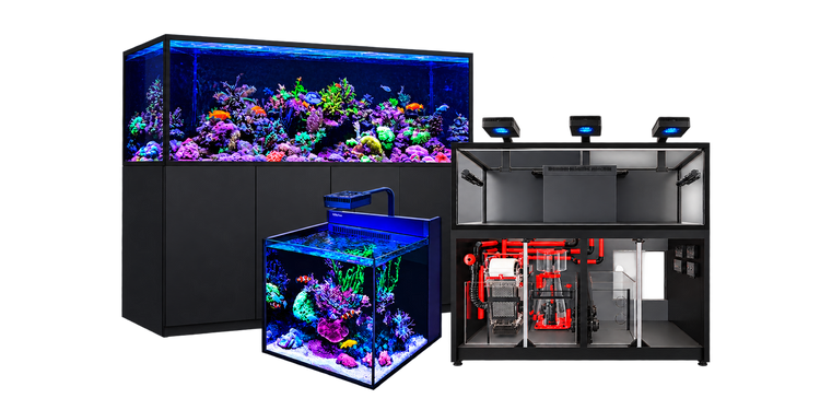 Aquariums
