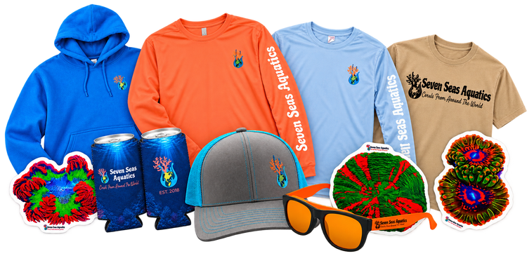 Merchandise