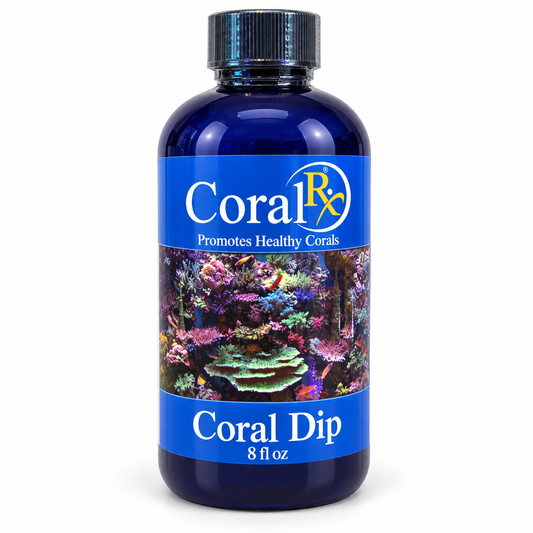 Coral Rx Coral Dip | 8 fl oz