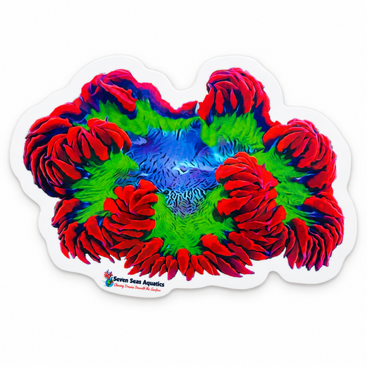 Seven Seas Aquatics Rock Flower Anemone Sticker