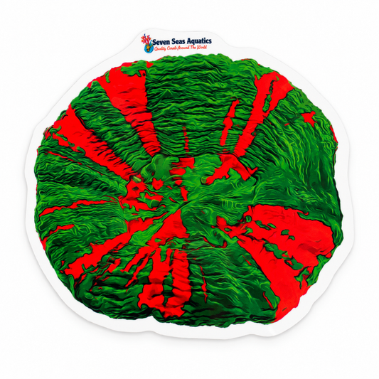 Seven Seas Aquatics Bleeding Apple Scoly Sticker