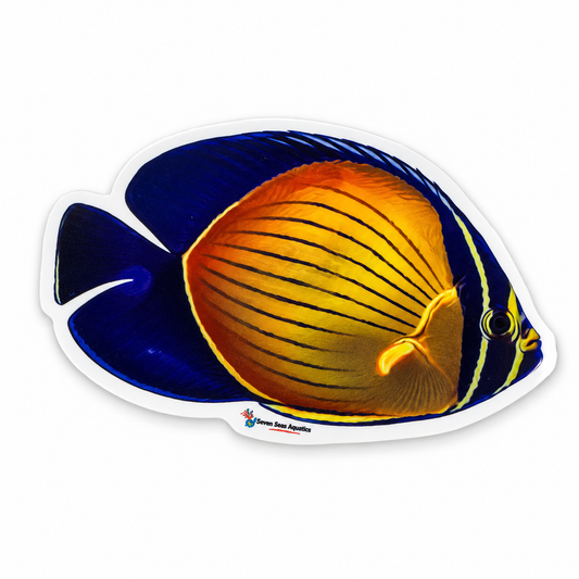Seven Seas Aquatics Angelfish Sticker