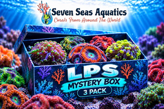 3-Frag LPS Mystery Box