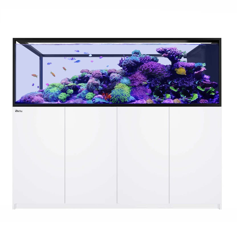 Red Sea REEFER Peninsula S-950 G3+ Reef Aquarium System | 250.2 Gallon