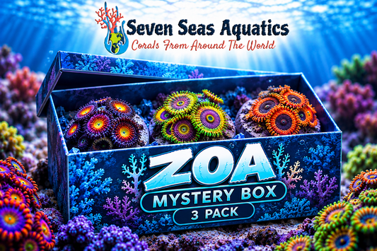 3 Frag Mystery Zoa's Box