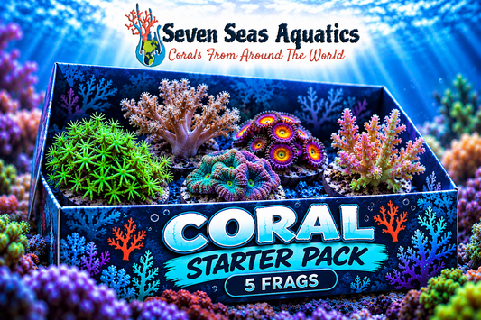 5-Frag Coral Starter Pack
