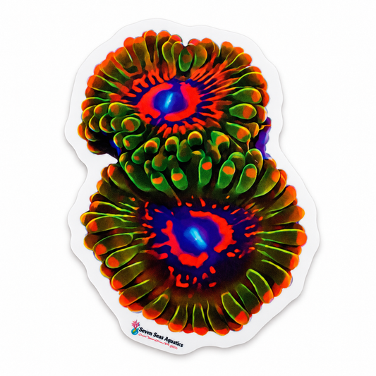 Seven Seas Aquatics Zoa Polyp Sticker