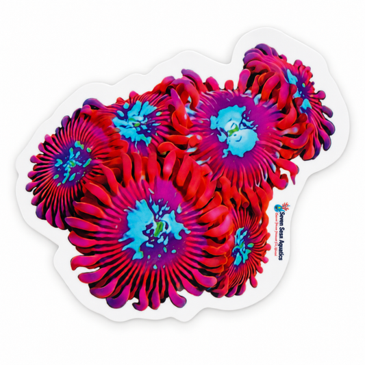 Seven Seas Aquatics Colorful Zoa Colony Sticker